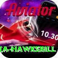 antigua hawksbill Plus v2.7.2