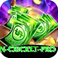 australian cricket Slot Machine Max