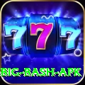 bbl big bash apk Premium Edition v2.2.2