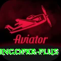 bingopkr Gold Edition v2.3.7