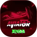 bn55 Max v4.8.3