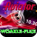 chris woakes Gaming Plus v5.1.7