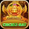 cricket bat Gold Pro v4.6.5