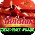 cricket bat App Premium v1.8.5