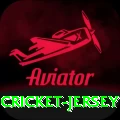 cricket jersey Premium Edition v1.8.4