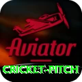 cricket pitch Master v2.8.8