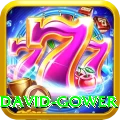 david gower Plus Pro v4.4.6