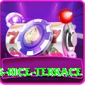 dhampus rice terrace Pro Max v3.0.7