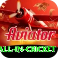 fastest ball in cricket VIP Edition v4.4.5