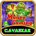 gavaskar VIP v5.3.9