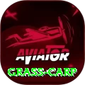 grass carp Max v3.3.1
