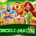 india cricket match Deluxe Pro v5.9.4