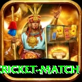 india pakistan cricket match Gold Pro v1.0.9