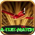 india test match Elite Pro v4.7.1