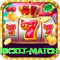 international cricket match Deluxe Pro v3.2.6