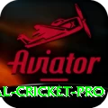 international cricket Super v5.9.2