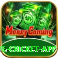live cricket app VIP Edition v4.8.5