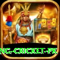 make money betting cricket pk Master v3.2.1