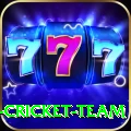 mumbai cricket team Pro Edition v4.8.8