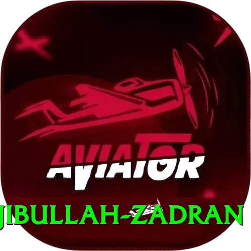 najibullah zadran VIP v2.1.9 - 2