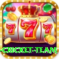 netherlands cricket team VIP Edition v4.0.1