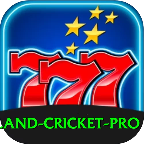 new zealand cricket Games Deluxe - 2