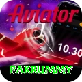pakrummy Deluxe Pro v1.6.0