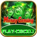 play cricket Ultimate Pro v3.7.4