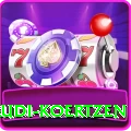 rudi koertzen Premium Plus v4.5.6
