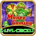 smartcric live cricket Turbo Pro v5.6.4