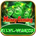 steve waugh Gold Edition v3.4.3