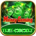test cricket Turbo Pro v3.8.0