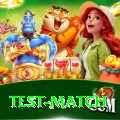 test match Pro v2.0.0
