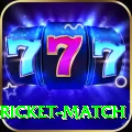 to day cricket match VIP Pro v2.0.3