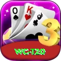 wc t20 Premium Plus v1.6.5