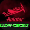 willow cricket VIP v2.6.1