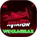 winbaobab Premium Edition v4.7.2